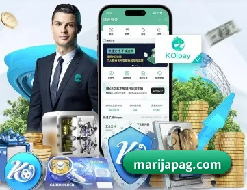 雷火官方入口 APP 深度功能
