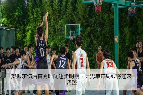 樊振东伤后首秀时间逐步明朗国乒男单布局或将迎来调整